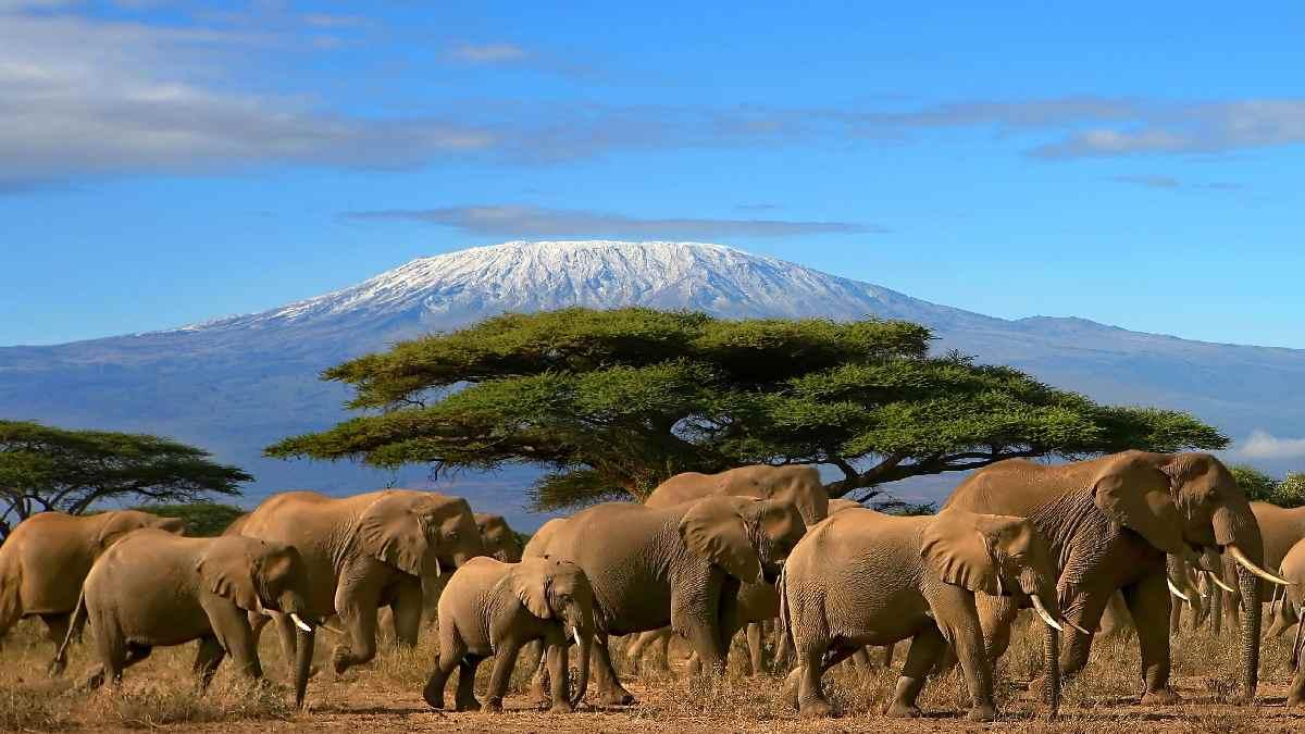TANZÁNIA ÉS ZANZIBÁR - CSOPORTOS KÖRUTAZÁS