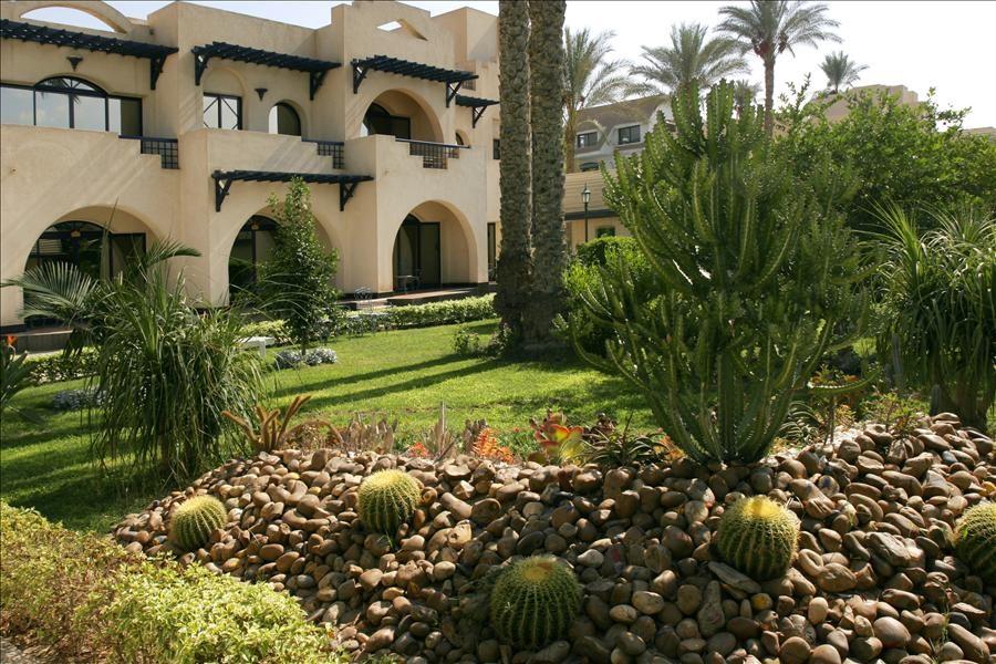 Kairó hétvége - Oasis 4* | Kairó
