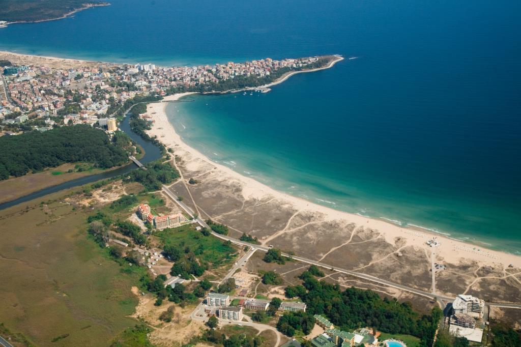Forest Beach