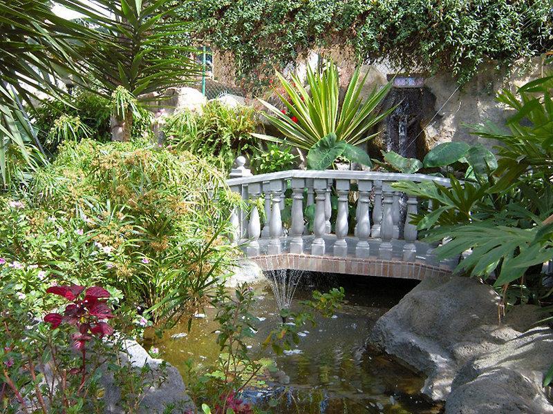 Hotel Don Manolito
