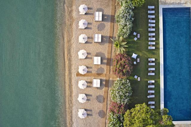 The Olivar Suites