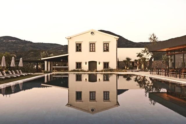The Olivar Suites
