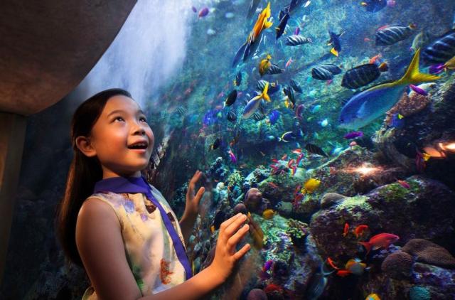 Atlantis The Palm