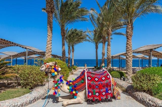 Sphinx Resort & Aqua Park