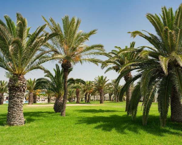 Iberostar Selection Mirage Hammamet
