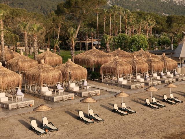 Balmy Foresta Hotel 