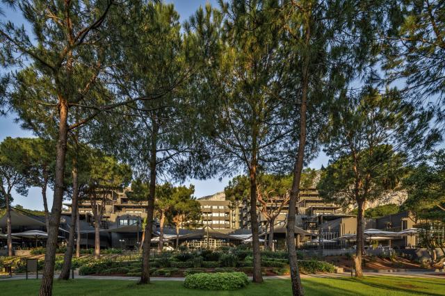 Balmy Foresta Hotel 