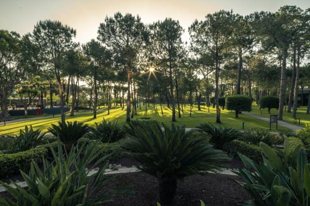 Balmy Foresta Hotel 