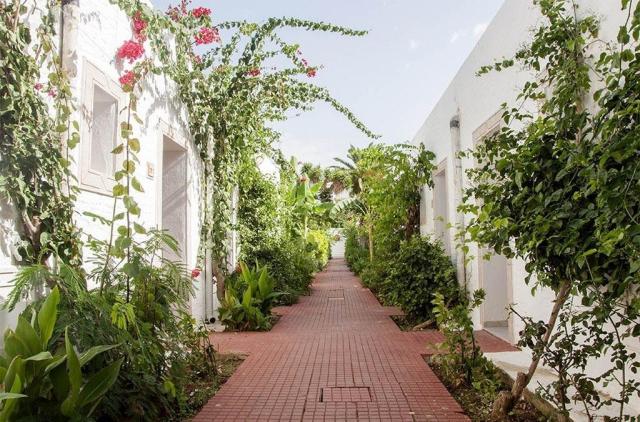 Le Hammamet