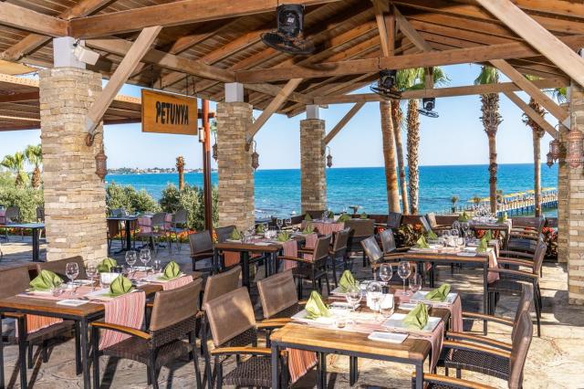 Arum Barut Collection