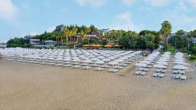 Arum Barut Collection