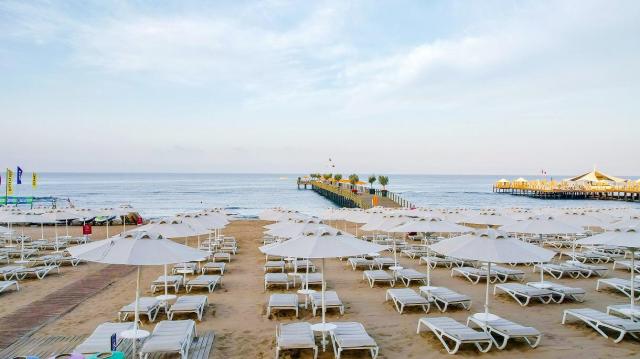 Arum Barut Collection