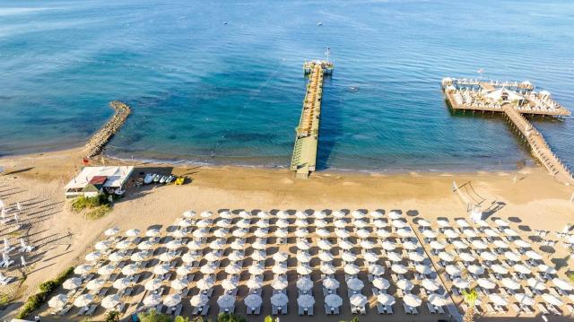 Arum Barut Collection