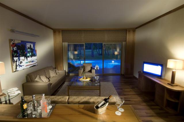 Deluxe villa