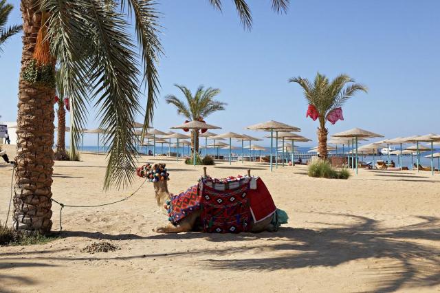 Sunny Beach Resort 