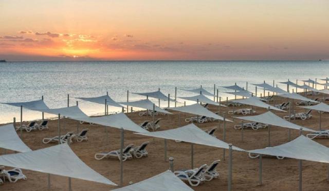 Gravity Sahl Hasheesh