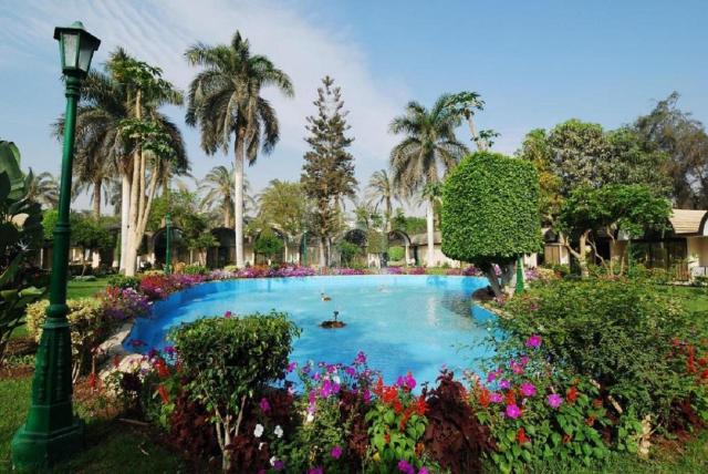 Pyramids Resort by Jaz (ex. Oasis) - Nílusi hajóút - Movenpick Resort Soma Bay