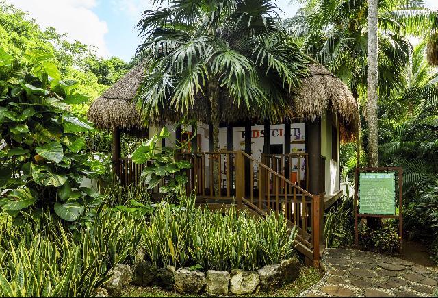 Hotel The Reef Playacar