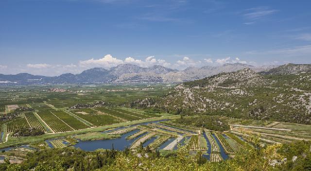 Mandarinszüret a Neretva- völgyében