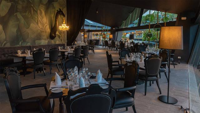 Bavaro Princess All Suites Resort Spa & Casino