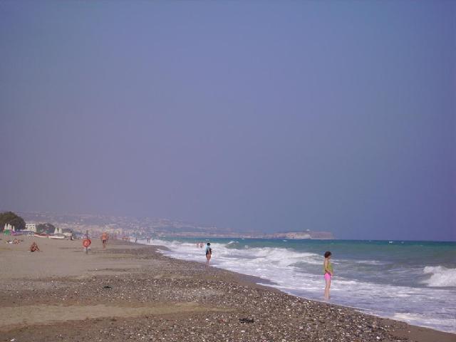 Palladion