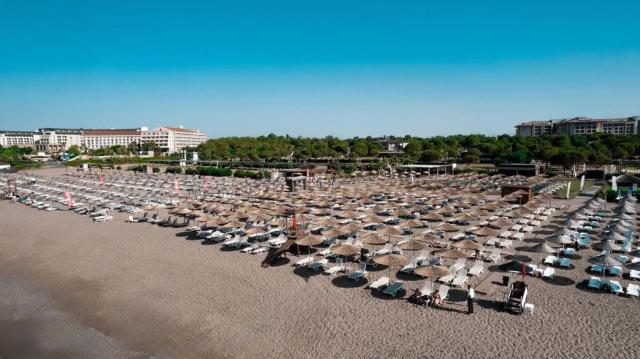 The X Belek