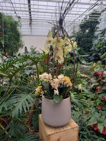 ORCHIDEÁK KAVALKÁDJA SZLOVÉNIÁBAN - Lendván bort kóstolunk - Energia parkban feltöltődünk!