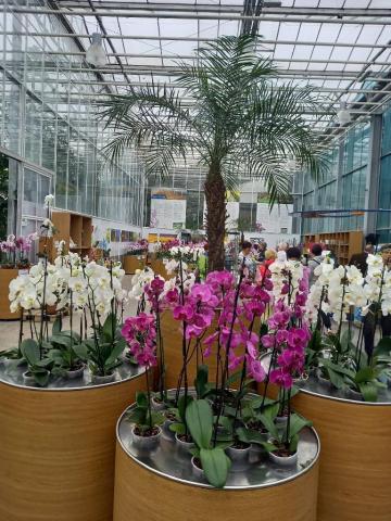 ORCHIDEÁK KAVALKÁDJA SZLOVÉNIÁBAN - Lendván bort kóstolunk - Energia parkban feltöltődünk!