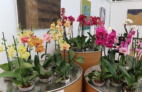 ORCHIDEÁK KAVALKÁDJA SZLOVÉNIÁBAN - Lendván bort kóstolunk - Energia parkban feltöltődünk!