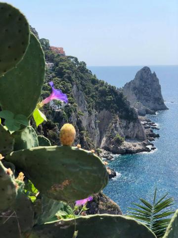 A VEZÚVTÓL AZ AMALFI PARTOKIG - Duino kastélya, Caserta, Capri, Sorrento, Positano, Ravello, Ferrara