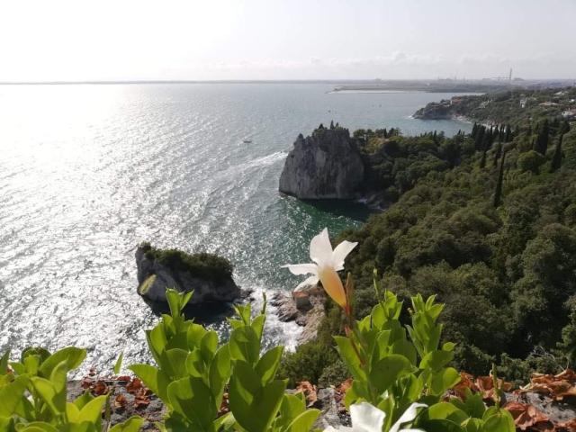 A VEZÚVTÓL AZ AMALFI PARTOKIG - Duino kastélya, Caserta, Capri, Sorrento, Positano, Ravello, Ferrara