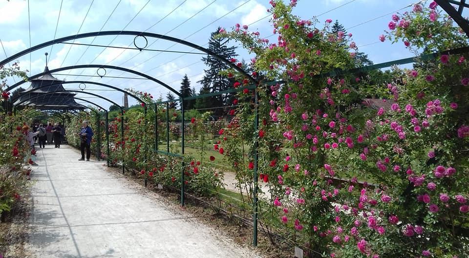 VENDÉGSÉGBEN AZ ESTERHÁZYAKNÁL - Fertőd, Kismarton, Fraknó vára, Kaboldi kastély, Ruszt és Doborján