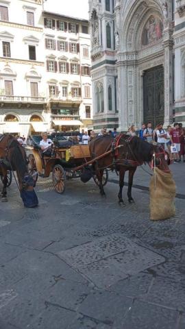 OLASZORSZÁGI NAGYKÖRUTAZÁS - Az európai kultúra bölcsője: Firenze-Róma-Nápoly-Orvieto és Capri-sziget
