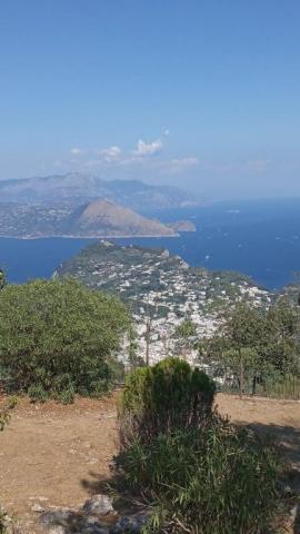 OLASZORSZÁGI NAGYKÖRUTAZÁS - Az európai kultúra bölcsője: Firenze-Róma-Nápoly-Orvieto és Capri-sziget
