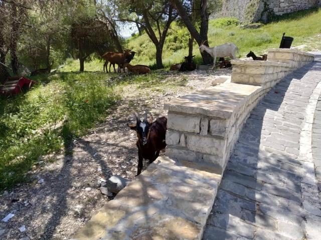 ALBÁNIA, MONTENEGRÓ, BOSZNIA-HERCEGOVINA - Tengerparti pihenéssel Durresben