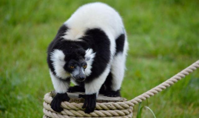 Szilveszter Madagaszkáron
