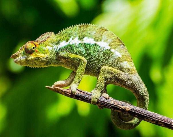 Szilveszter Madagaszkáron