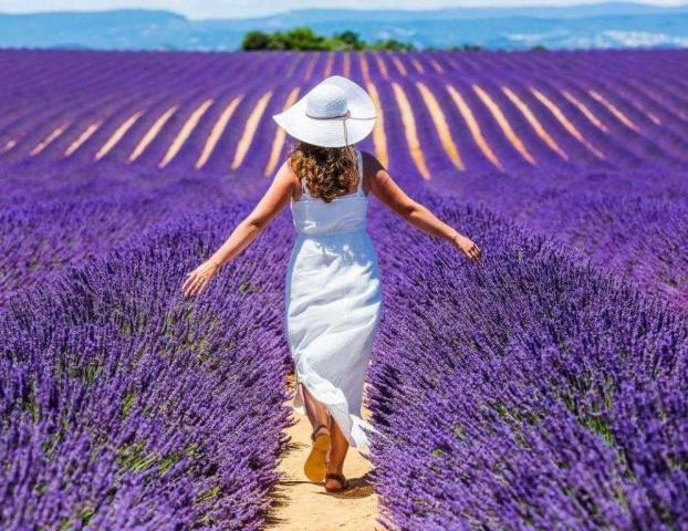 Provence-i ízelítő (Provence-i ízelítő)
