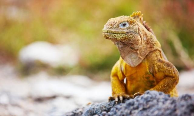 Kolumbia-Ecuador körutazás