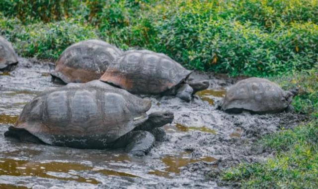 Kolumbia-Ecuador körutazás