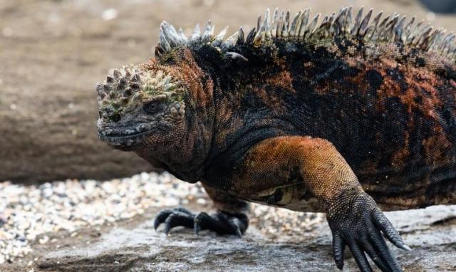 Kolumbia-Ecuador körutazás