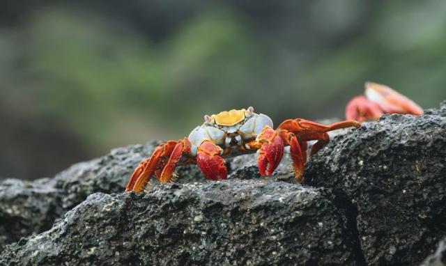 Kolumbia-Ecuador körutazás