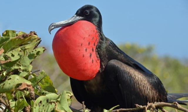 Kolumbia-Ecuador körutazás