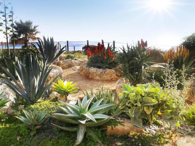 Akti Beach Village Resort