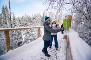 Lombkorona ösvény és jégtemplom a Tátrában