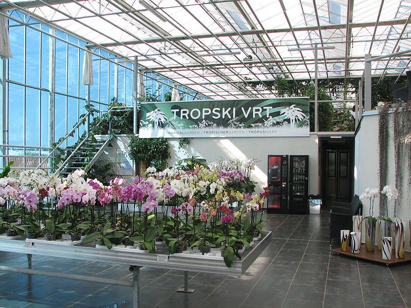 Orchideafarm és Tulipánmező