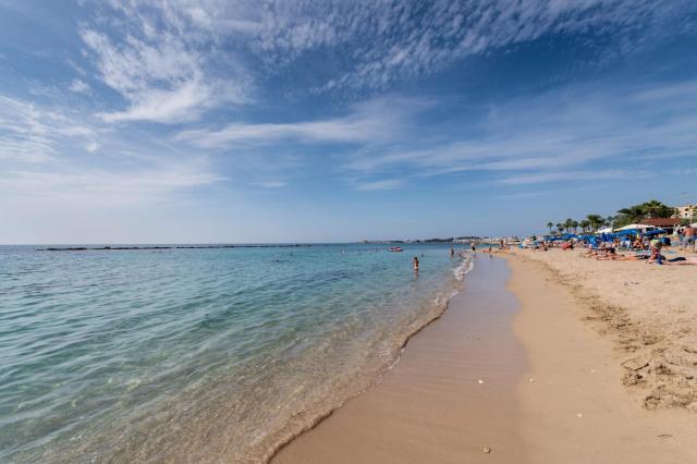 Paphos Gardens