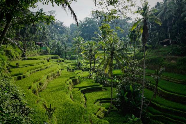Bali - Ezt látnia kell!