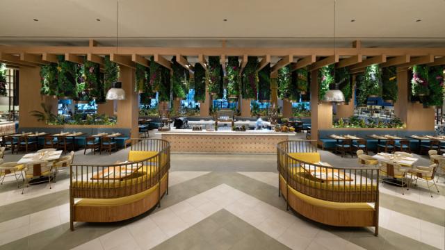 Hard Rock Hotel & Casino Punta Cana