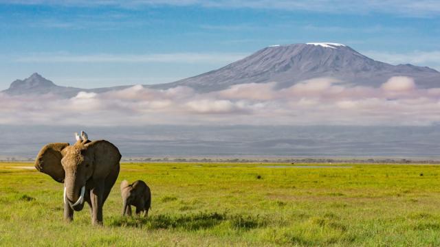 Tanzánia - Szafari Körutazás Üdüléssel Zanzibáron